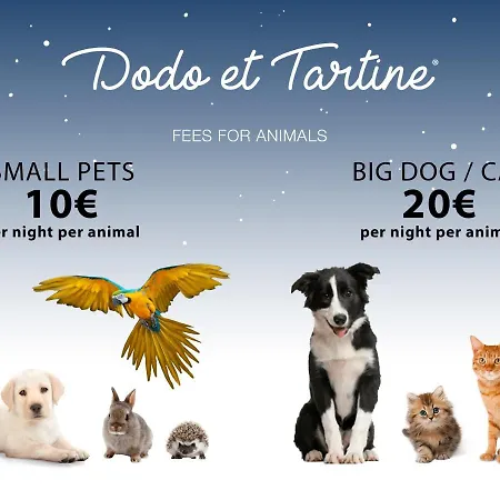 Quiet Atypical House Downtown - Dodo Et Tartine *